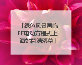 绿色风暴再临 FE电动方程式上海站圆满落幕