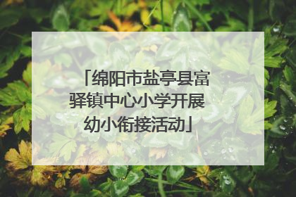 绵阳市盐亭县富驿镇中心小学开展幼小衔接活动