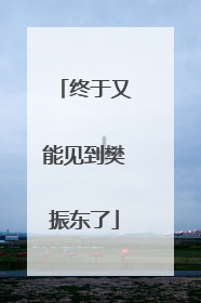 终于又能见到樊振东了