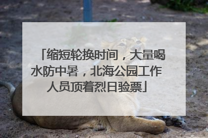 缩短轮换时间，大量喝水防中暑，北海公园工作人员顶着烈日验票