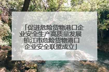 促进危险货物港口企业安全生产高质量发展 镇江市危险货物港口企业安全联盟成立
