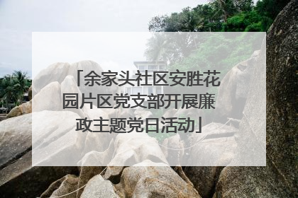 余家头社区安胜花园片区党支部开展廉政主题党日活动