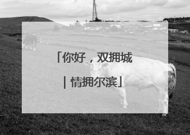 你好，双拥城｜情拥尔滨