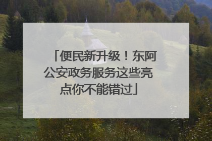 便民新升级！东阿公安政务服务这些亮点你不能错过