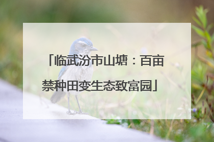 临武汾市山塘：百亩禁种田变生态致富园