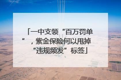 一中支领“百万罚单”，紫金保险何以甩掉“违规频发”标签