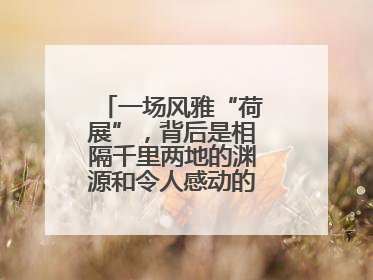 一场风雅“荷展”，背后是相隔千里两地的渊源和令人感动的历史人文情怀