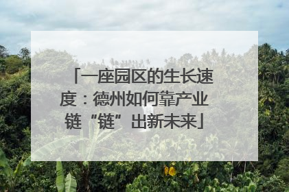 一座园区的生长速度：德州如何靠产业链“链”出新未来