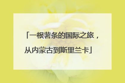 一根薯条的国际之旅，从内蒙古到斯里兰卡