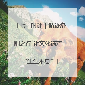 七一时评｜循迹洛阳之行 让文化遗产“生生不息”