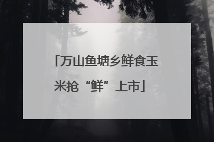 万山鱼塘乡鲜食玉米抢“鲜”上市
