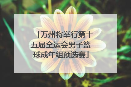 万州将举行第十五届全运会男子篮球成年组预选赛