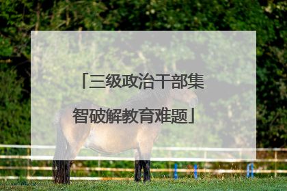 三级政治干部集智破解教育难题