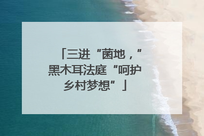 三进“菌地，”黑木耳法庭“呵护乡村梦想”