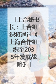 上合秘书长：上合组织将通过《上海合作组织至2035年发展战略》