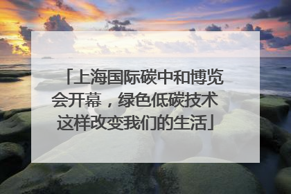 上海国际碳中和博览会开幕，绿色低碳技术这样改变我们的生活