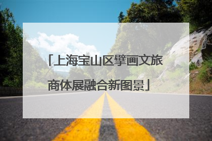 上海宝山区擘画文旅商体展融合新图景