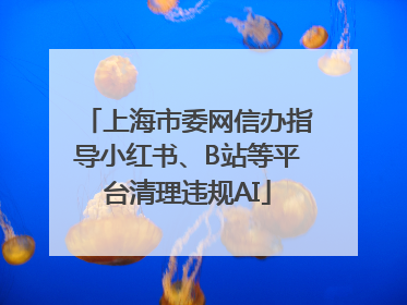 上海市委网信办指导小红书、B站等平台清理违规AI