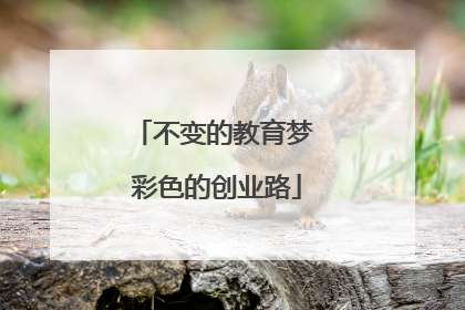 不变的教育梦 彩色的创业路