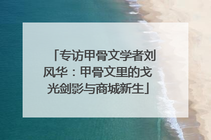专访甲骨文学者刘风华：甲骨文里的戈光剑影与商城新生