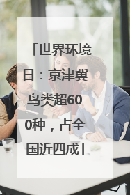 世界环境日：京津冀鸟类超600种，占全国近四成