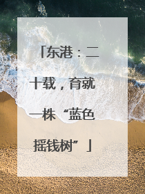 东港：二十载，育就一株“蓝色摇钱树”