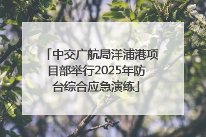 中交广航局洋浦港项目部举行2025年防台综合应急演练