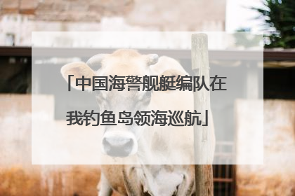 中国海警舰艇编队在我钓鱼岛领海巡航