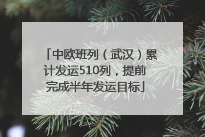 中欧班列（武汉）累计发运510列，提前完成半年发运目标