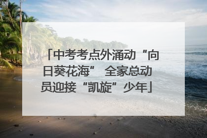 中考考点外涌动“向日葵花海” 全家总动员迎接“凯旋”少年