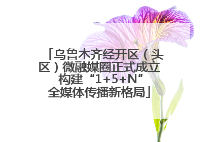 乌鲁木齐经开区（头区）微融媒圈正式成立 构建“1+5+N”全媒体传播新格局