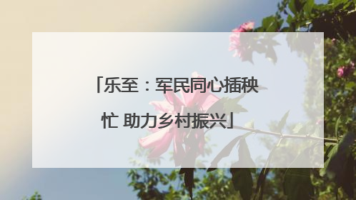 乐至：军民同心插秧忙 助力乡村振兴