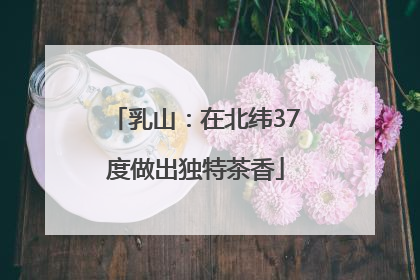 乳山：在北纬37度做出独特茶香
