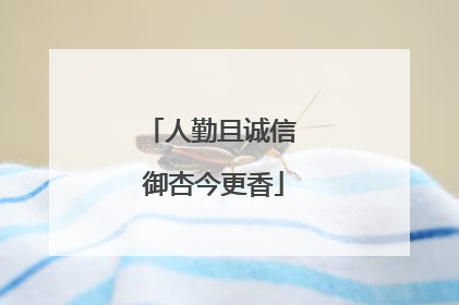 人勤且诚信 御杏今更香