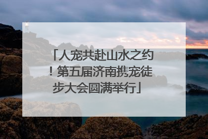 人宠共赴山水之约！第五届济南携宠徒步大会圆满举行
