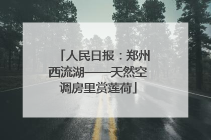 人民日报：郑州西流湖——天然空调房里赏莲荷