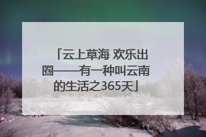 云上草海 欢乐出圈——有一种叫云南的生活之365天