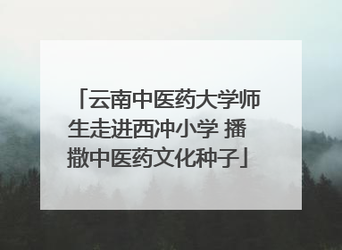云南中医药大学师生走进西冲小学 播撒中医药文化种子