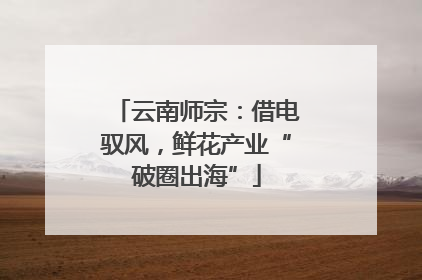 云南师宗：借电驭风，鲜花产业“破圈出海”