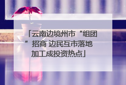 云南边境州市“组团”招商 边民互市落地加工成投资热点