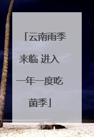 云南雨季来临 进入一年一度吃菌季
