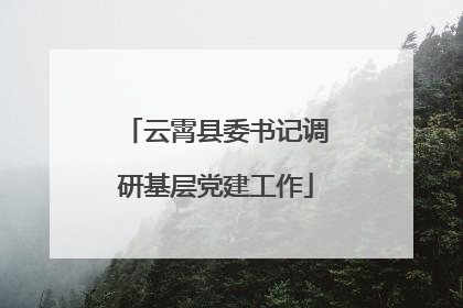 云霄县委书记调研基层党建工作