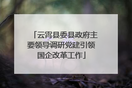 云霄县委县政府主要领导调研党建引领国企改革工作