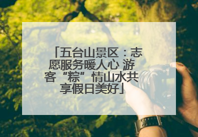 五台山景区：志愿服务暖人心 游客“粽”情山水共享假日美好