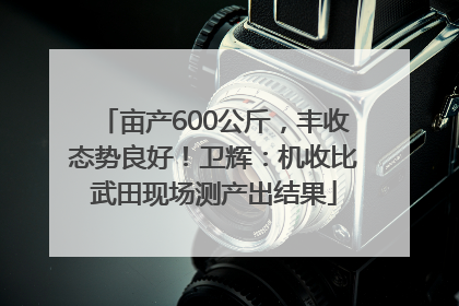 亩产600公斤，丰收态势良好！卫辉：机收比武田现场测产出结果