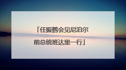 任振鹤会见尼泊尔前总统班达里一行