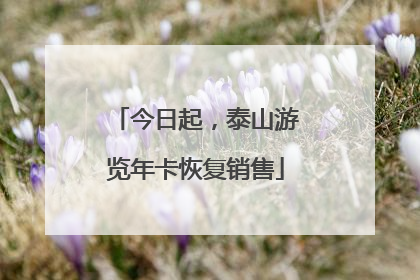 今日起，泰山游览年卡恢复销售