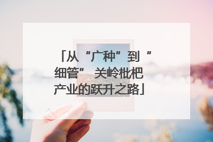 从“广种”到“细管” 关岭枇杷产业的跃升之路