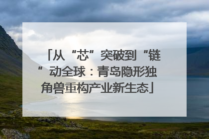 从“芯”突破到“链”动全球：青岛隐形独角兽重构产业新生态