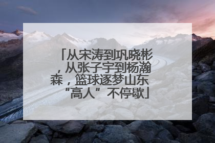 从宋涛到巩晓彬，从张子宇到杨瀚森，篮球逐梦山东“高人”不停歇
